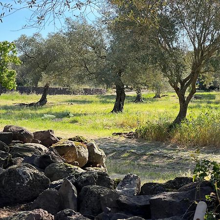 Muristene Pozzo Santa Cristina Paulilatino Luaran gambar