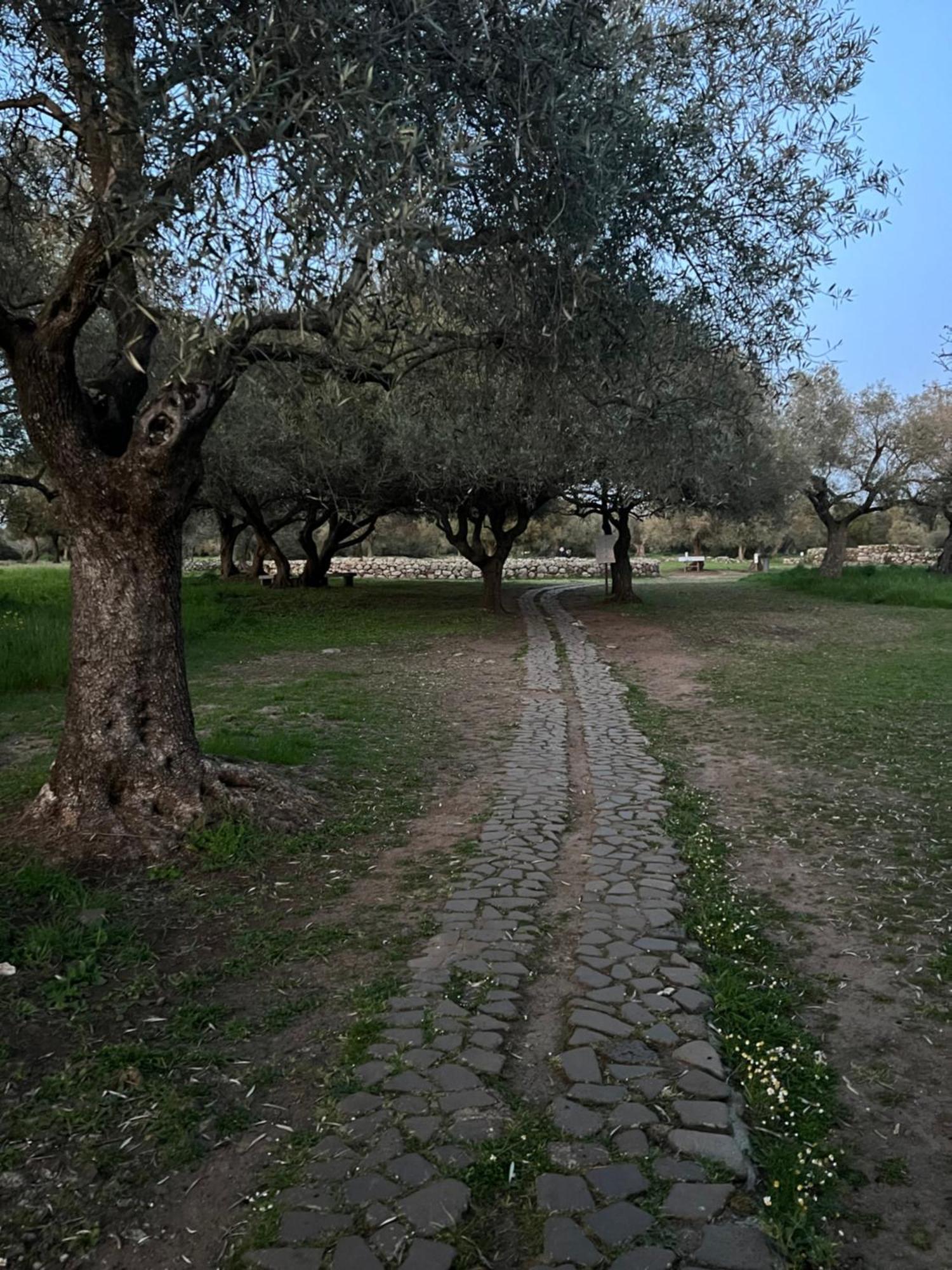 Muristene Pozzo Santa Cristina Paulilatino Luaran gambar