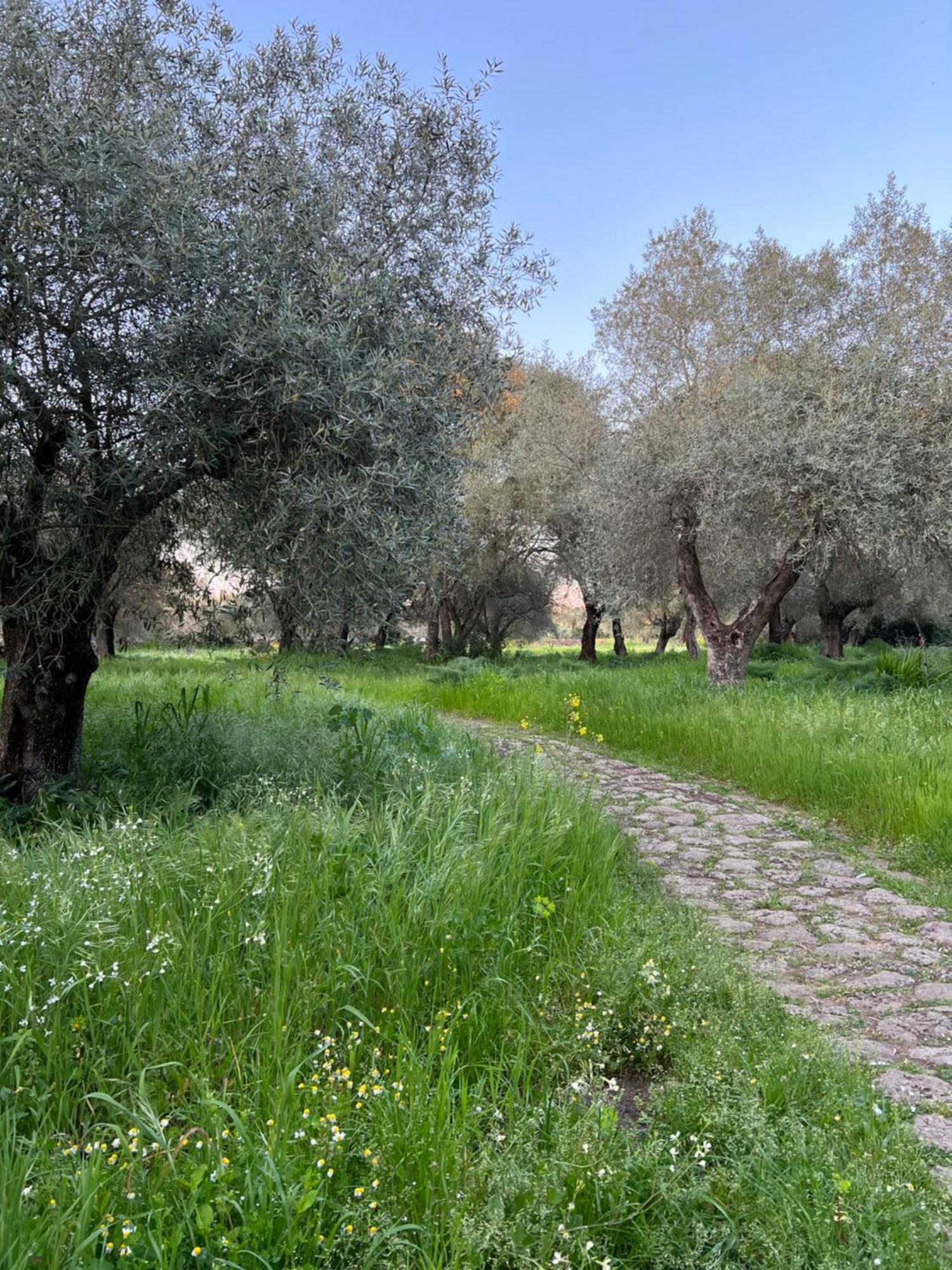 Muristene Pozzo Santa Cristina Paulilatino Luaran gambar