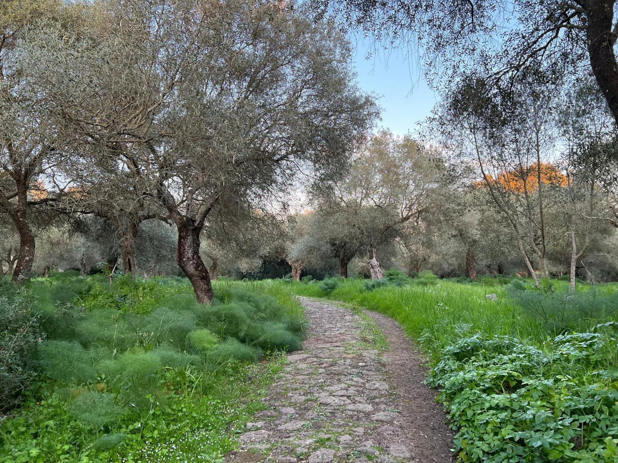 Muristene Pozzo Santa Cristina Paulilatino Luaran gambar