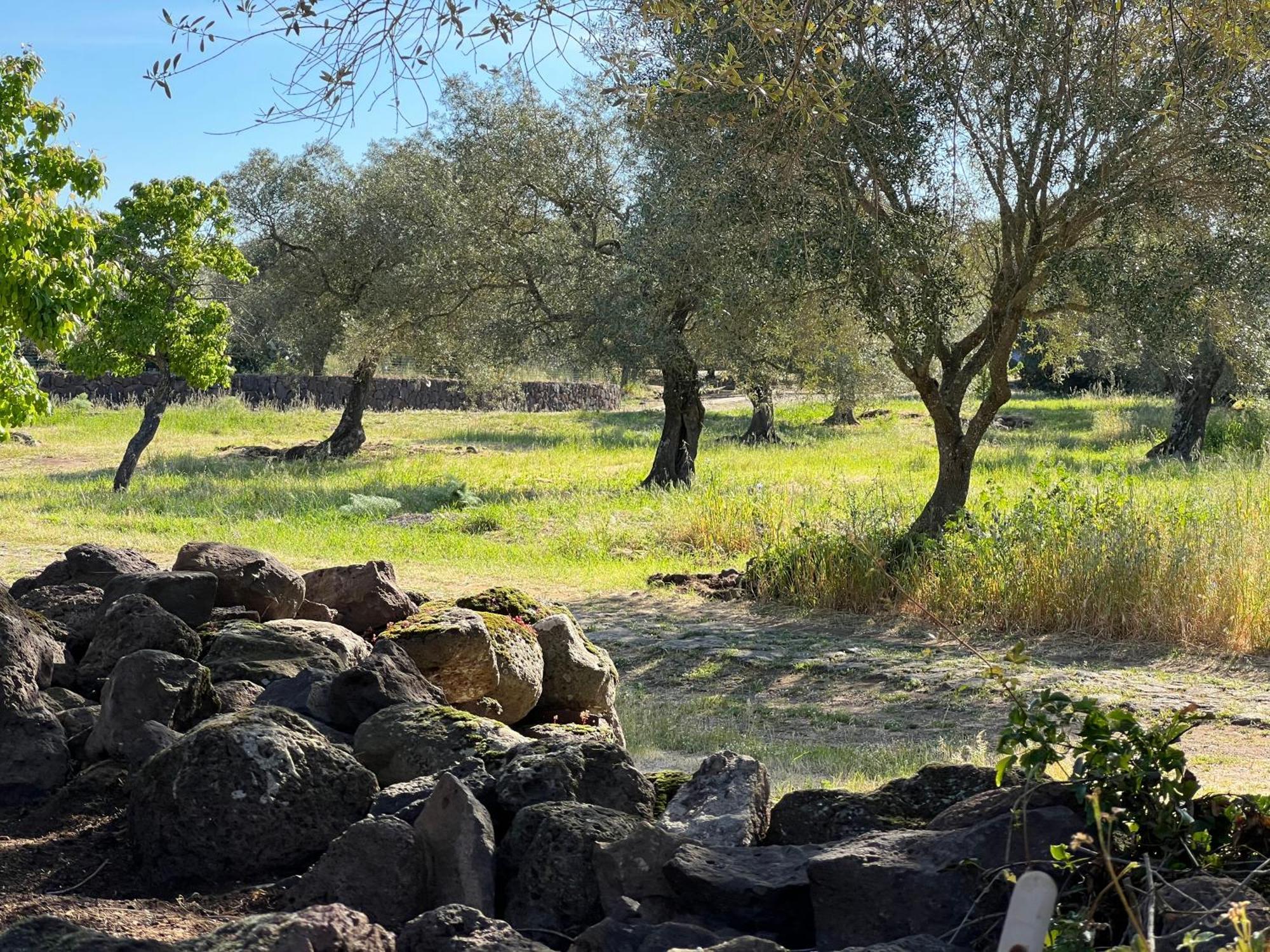 Muristene Pozzo Santa Cristina Paulilatino Luaran gambar